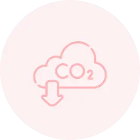 Base Carbon Tonne (BCT) Compatible Tokens