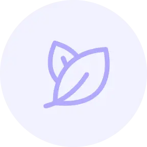 Nature-Based Carbon Tokens (NCT)