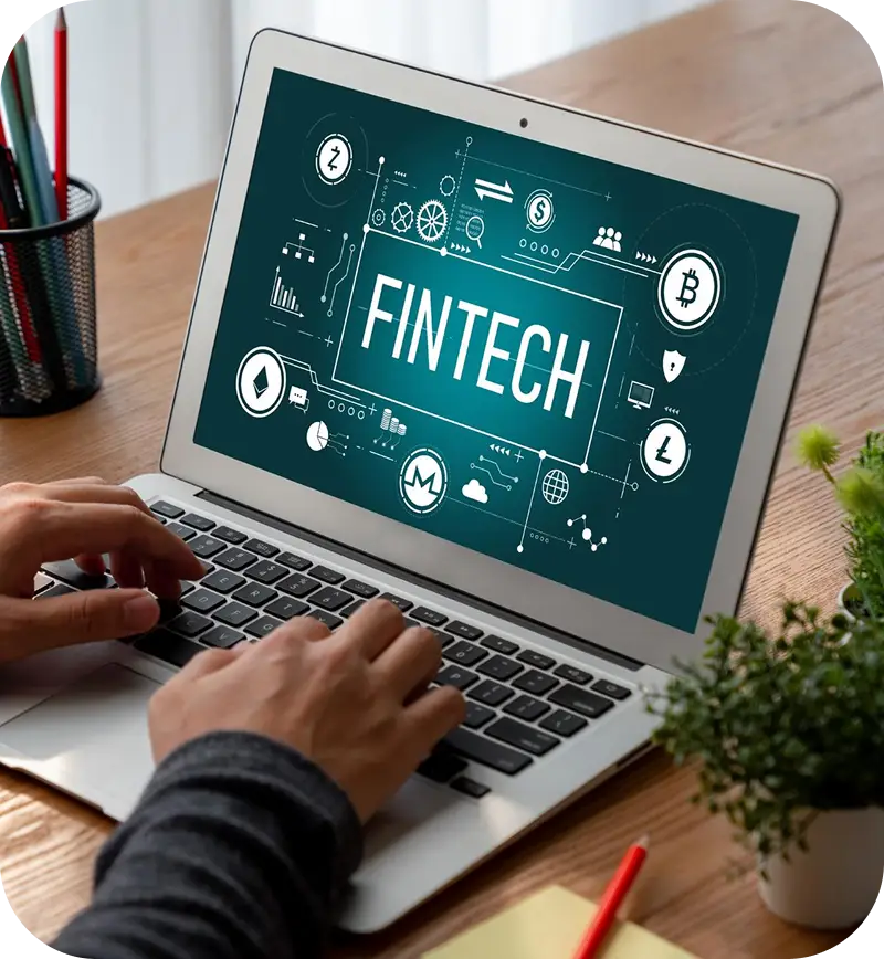 Fintech Startups & Neobanks