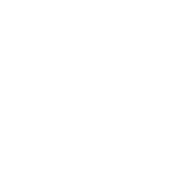 custom-software-development-company