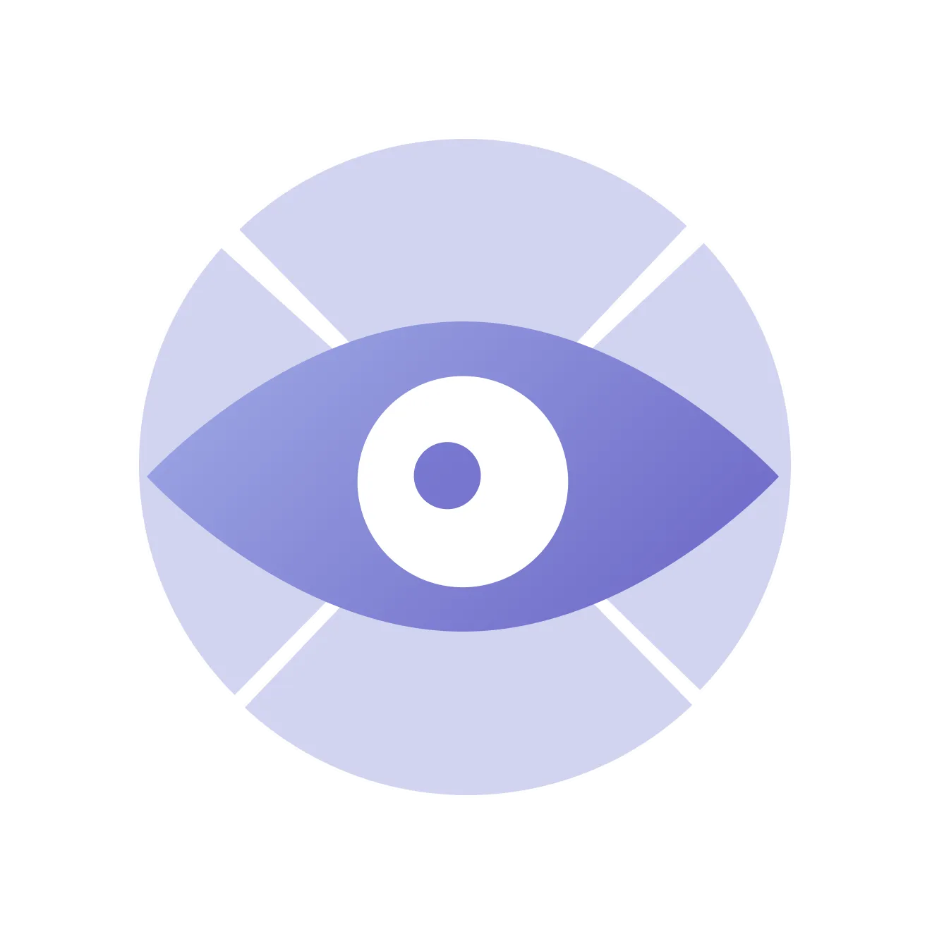 Vision