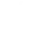 custom-software-development-company