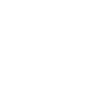 Web Portals & Intranets