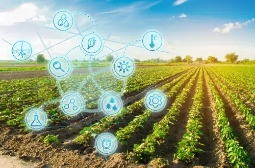 defi-yield-farming-development-company