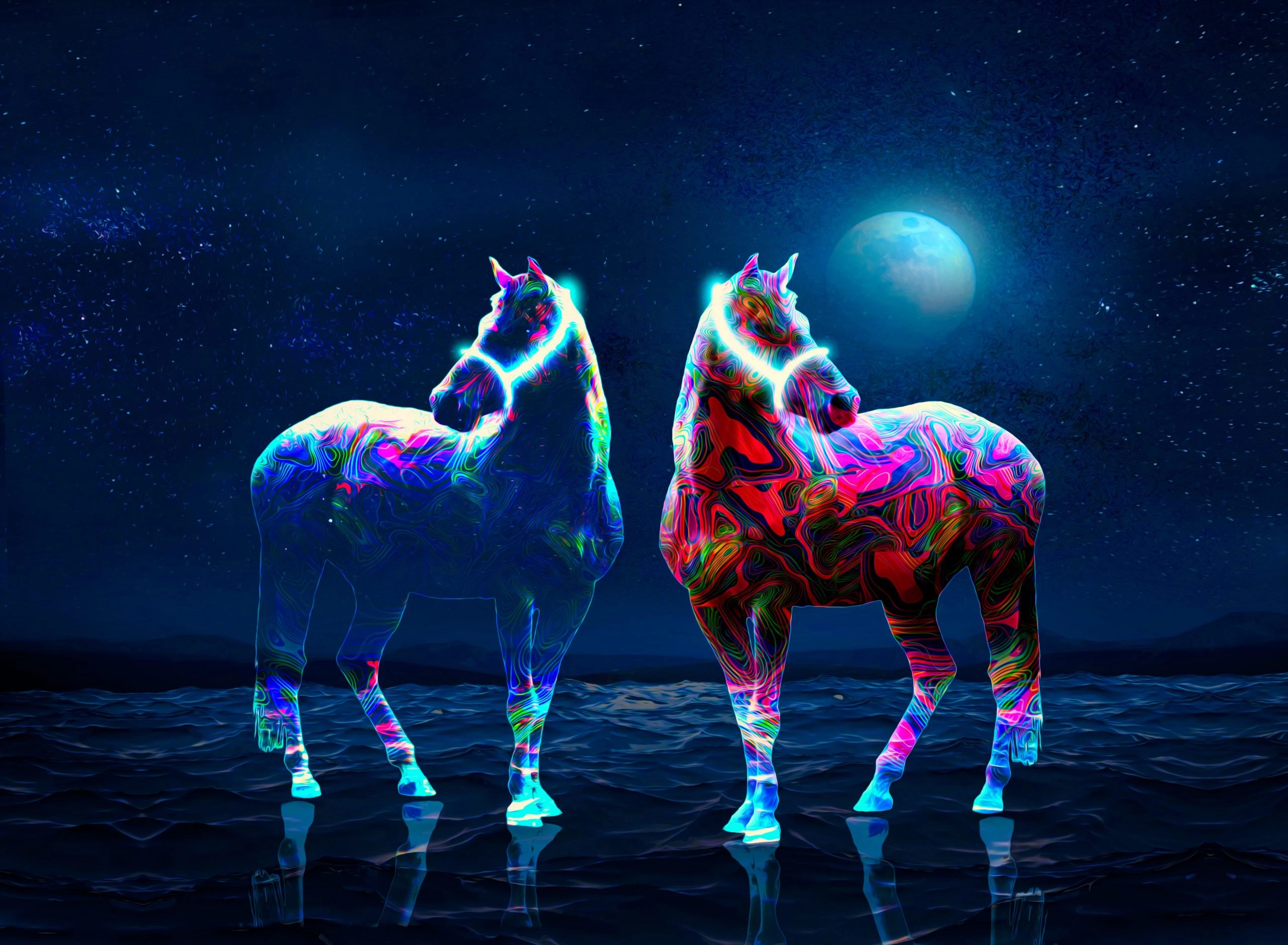 nft-zedrun-marketplace-development-company