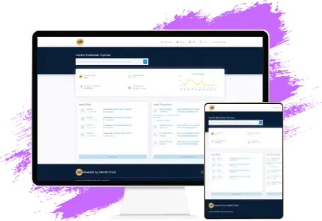 valobit blockchain explorer demo 